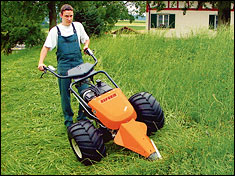 Rasenmäher Rasenmäher